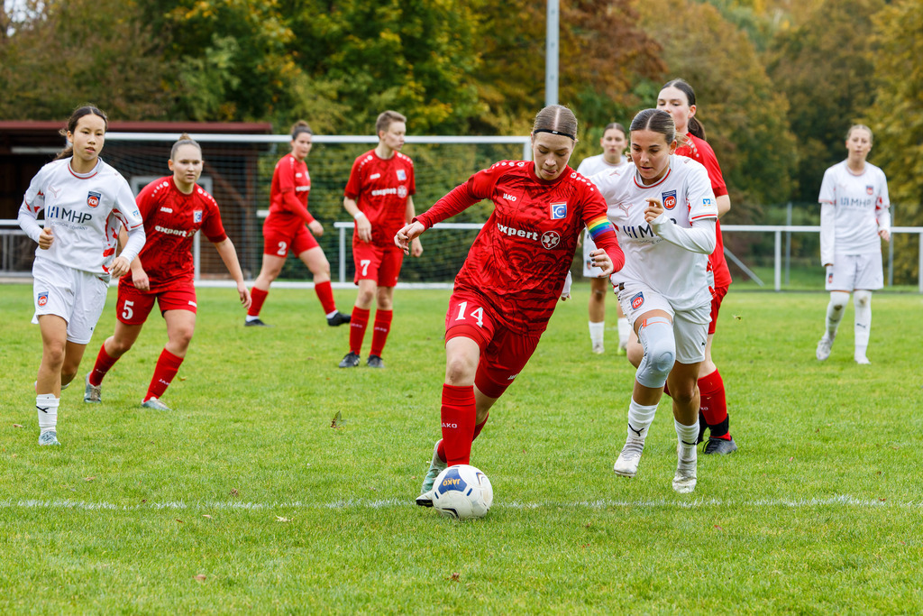 FCEFCH_251012_1906 | Fotopresso – Sportfotografie in Heidenheim & Umgebung. Professionelle Sportfotografie für unvergessliche Momente. Dynamische Action-Shots, emotionale Szenen & hochwertige Bilder. - Realisiert mit Pictrs.com