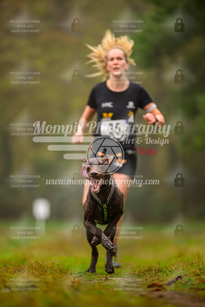 MompixPhotography_Bischwiller2025_Canicross-13 | mompixphotography