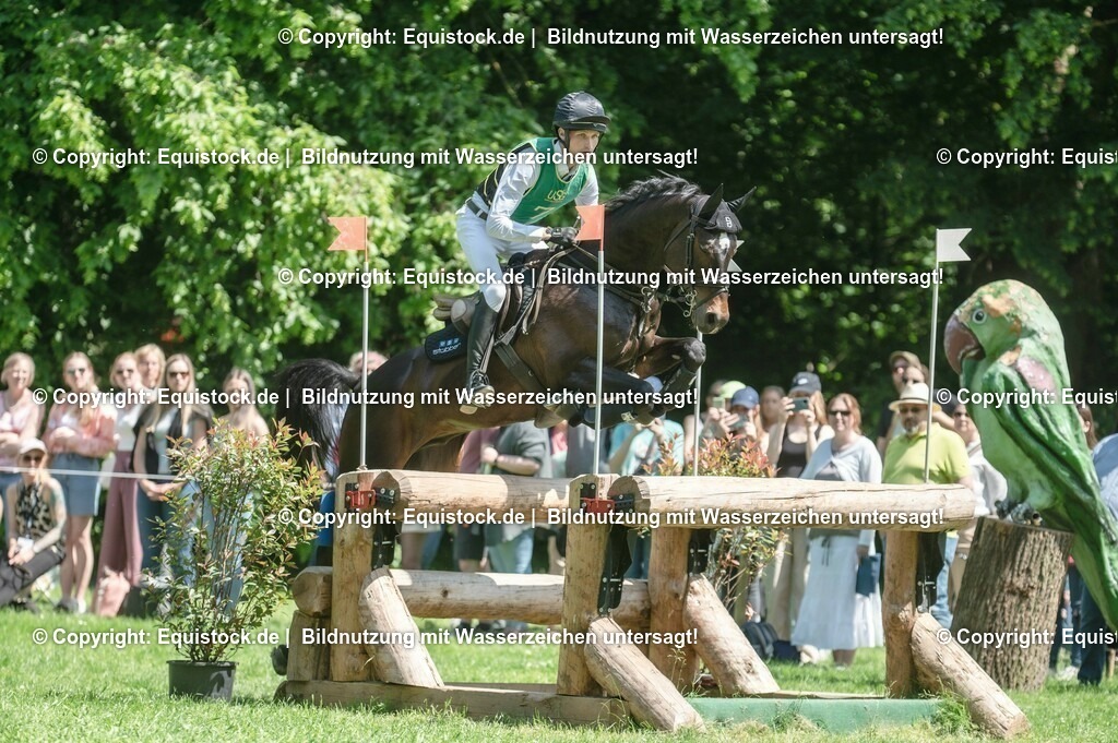 20230527_27_CCI4_Gelände_0038 | equistock