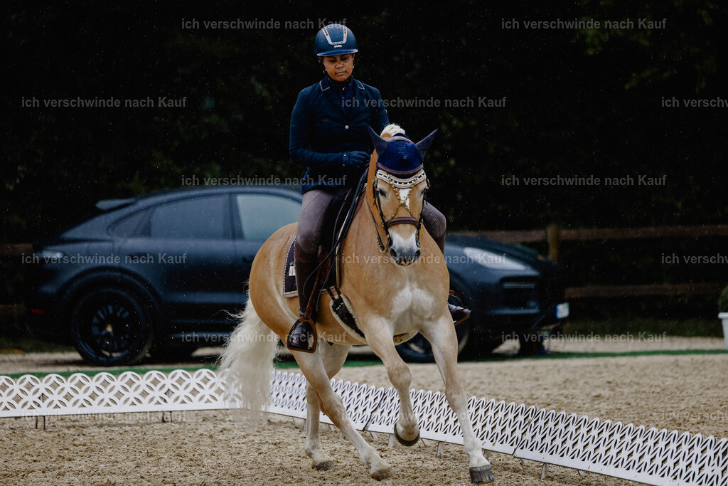 Tanesha5FHC2025-24843 | working equitationturnier fotograf videograf stoibphotography marixx film working equitation deutschland reitsport turnierfotografie eventfotografie equestrian events