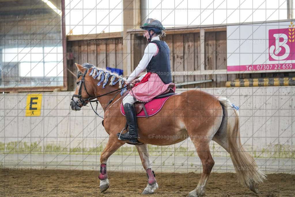 20240211-FAH01539 | Fotoagentur Herrmann, Pferdesport- und Hochzeitsfotografie, Turnierfotografen Bayern