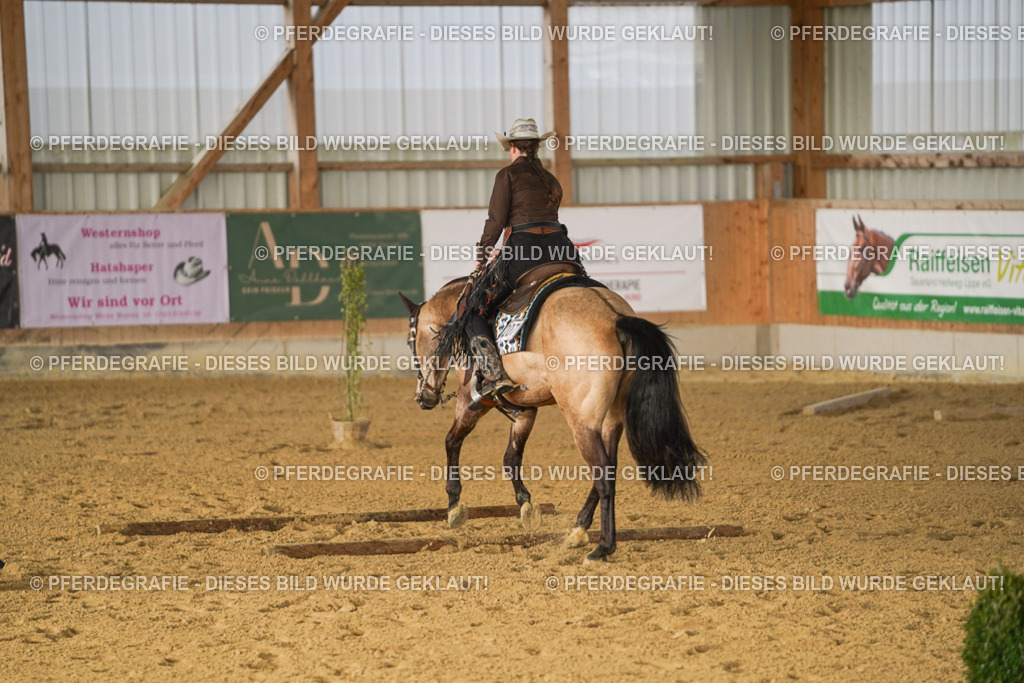 DSC01759 | Pferdegrafie