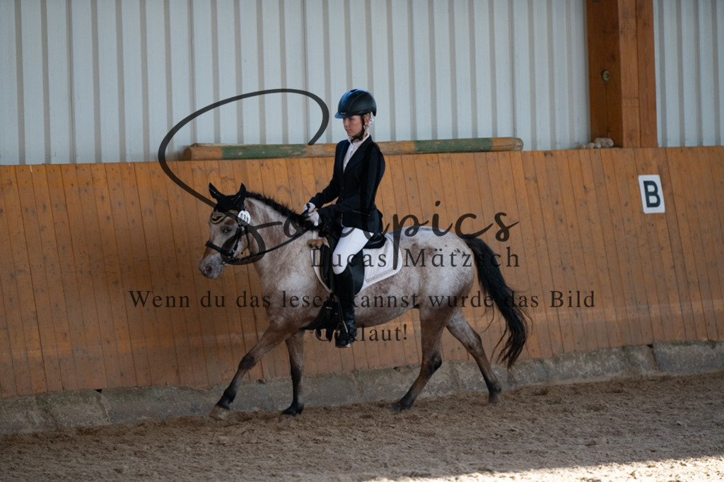 A7V01686 | Turnier/Reitfotograf