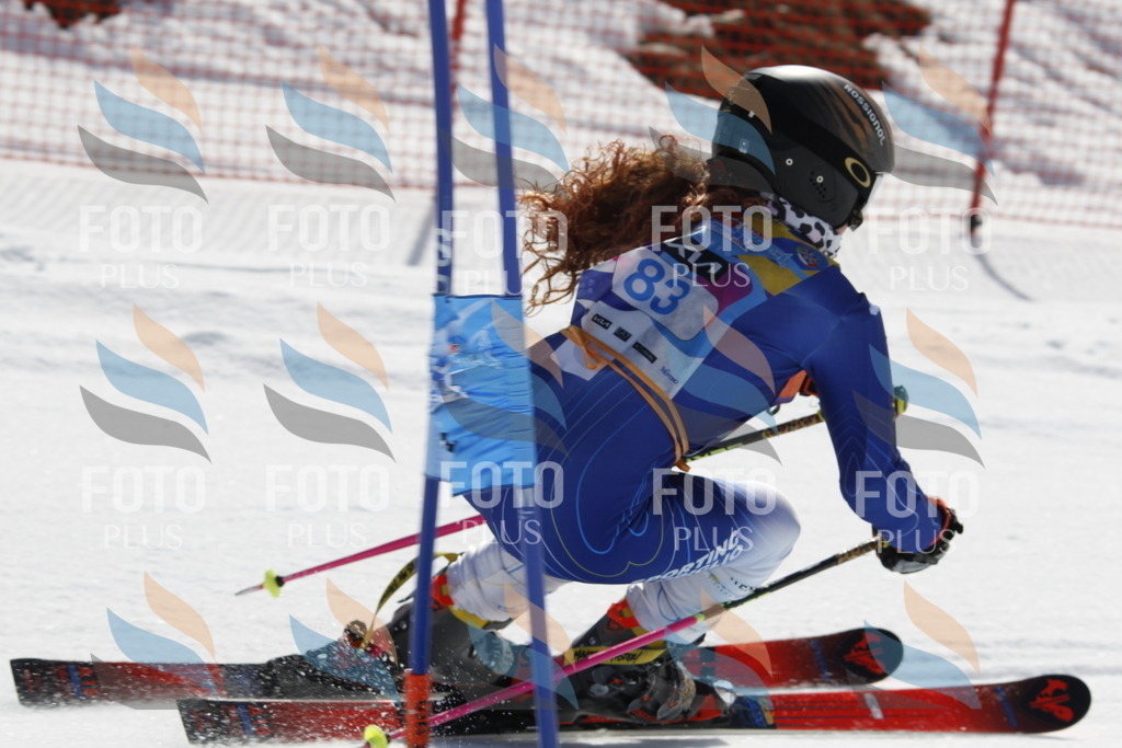 _U3G0061 | holidayphoto