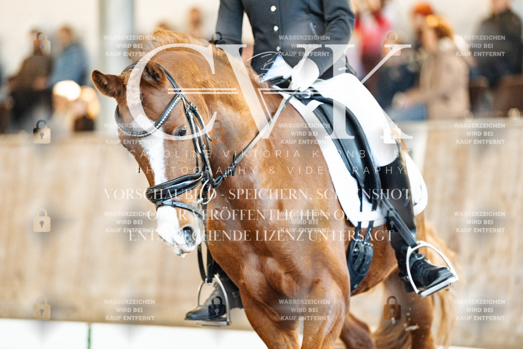 CK908907 | Turnierfotografie Pferdefotografie Trier Rheinland-Pfalz Pferdesport Reitsport Tierfotografie Sportfotografie Pferdevideo Pferdevideografie Equestrianvideography equestrianphotography  - Realisiert mit Pictrs.com