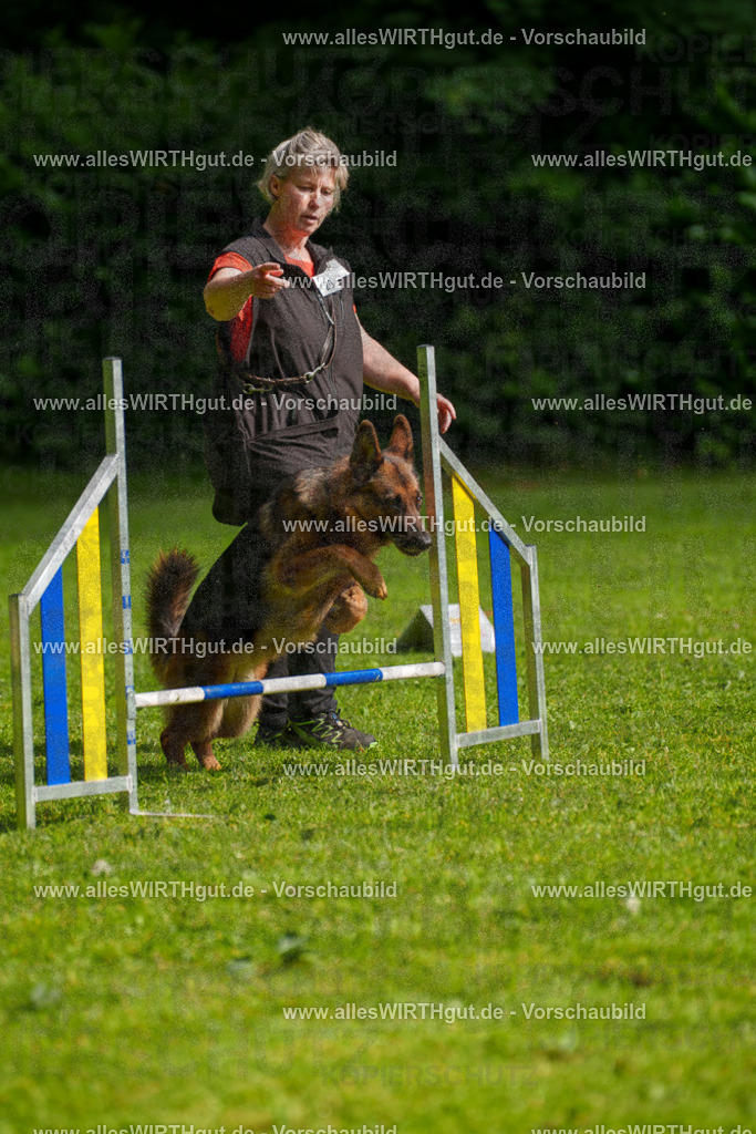 @allesWIRTHgut_Tierfotografie - www.allesWIRTHgut.de - 7R502409 | Professionelle Tierfotografie in Mönchengladbach von Daniel Wirth (allesWIRTHgut). Liebevolle & natürliche Bilder von Hunden & Katzen für unvergessliche Erinnerungen.