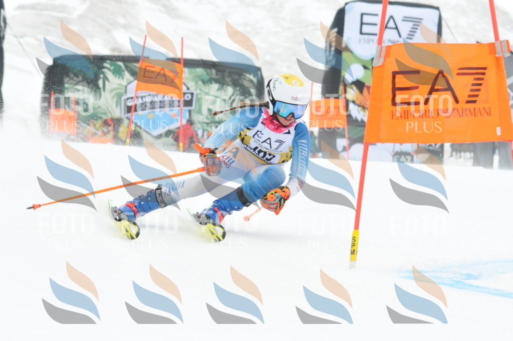 DSC_8864 | holidayphoto