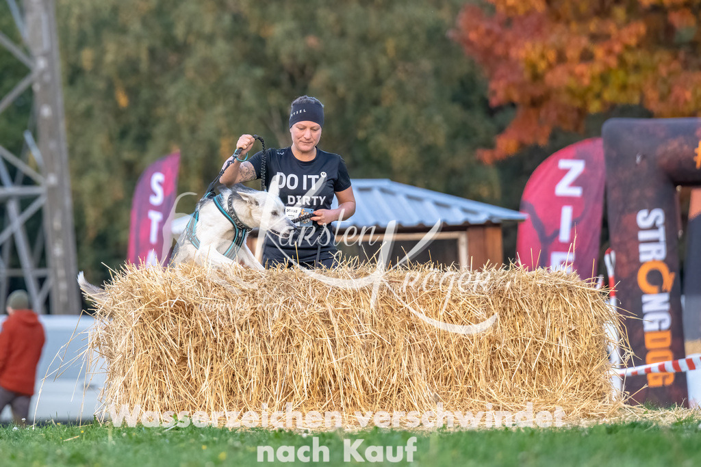 0814_ZZ94924-Bearbeitet | kk-dogfotos