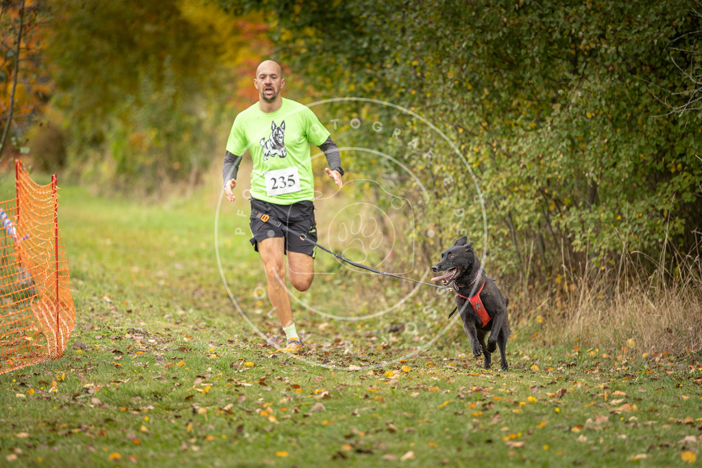 Pfotenfotografie_DV3A4404 | Hundefotografie, Tierfotograf, Pfotenfotografie, Fotoshooting Hund, Hunde Portrait, Hundesport, Hundeportraits, Heideshooting, Hunde, Sportfotograf, Hundefotograf, Turnierhundsport, THS,  - Realisiert mit Pictrs.com