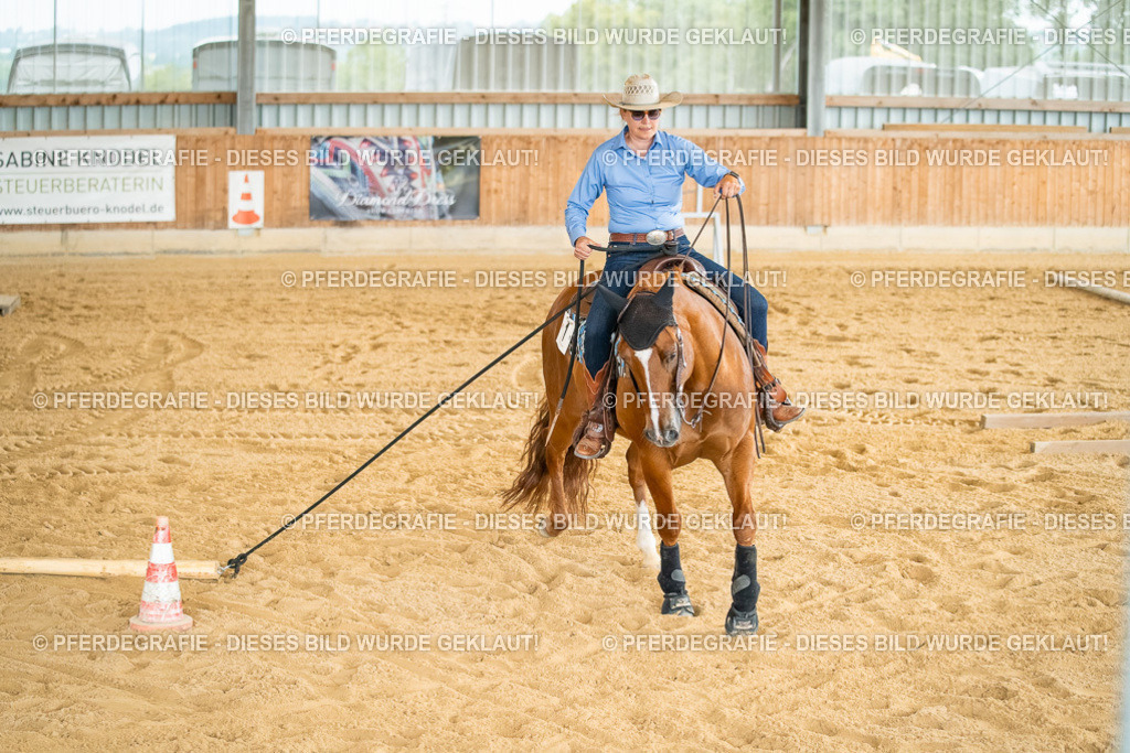 DSC07476 | Pferdegrafie