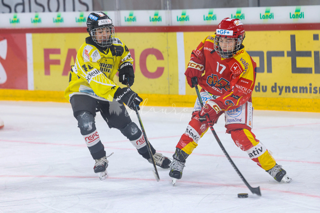 EHC Biel-Bienne vs HC Ambri-Piotta - 5. October 2024 | EHC Biel-Bienne vs HC Ambri-PiottaTissot Arena, Biel-BienneBild: Waltraud Blaurock | Blaurock Pix