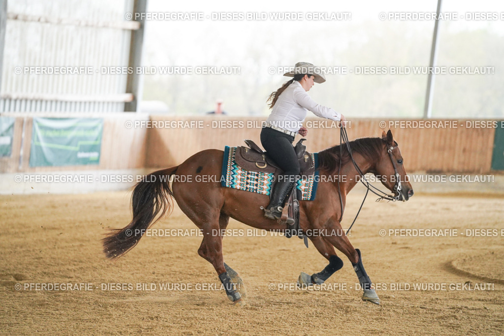 DSC07889 | Pferdegrafie