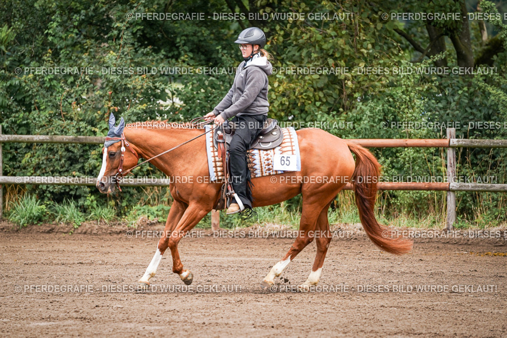 DSC05588 | Pferdegrafie