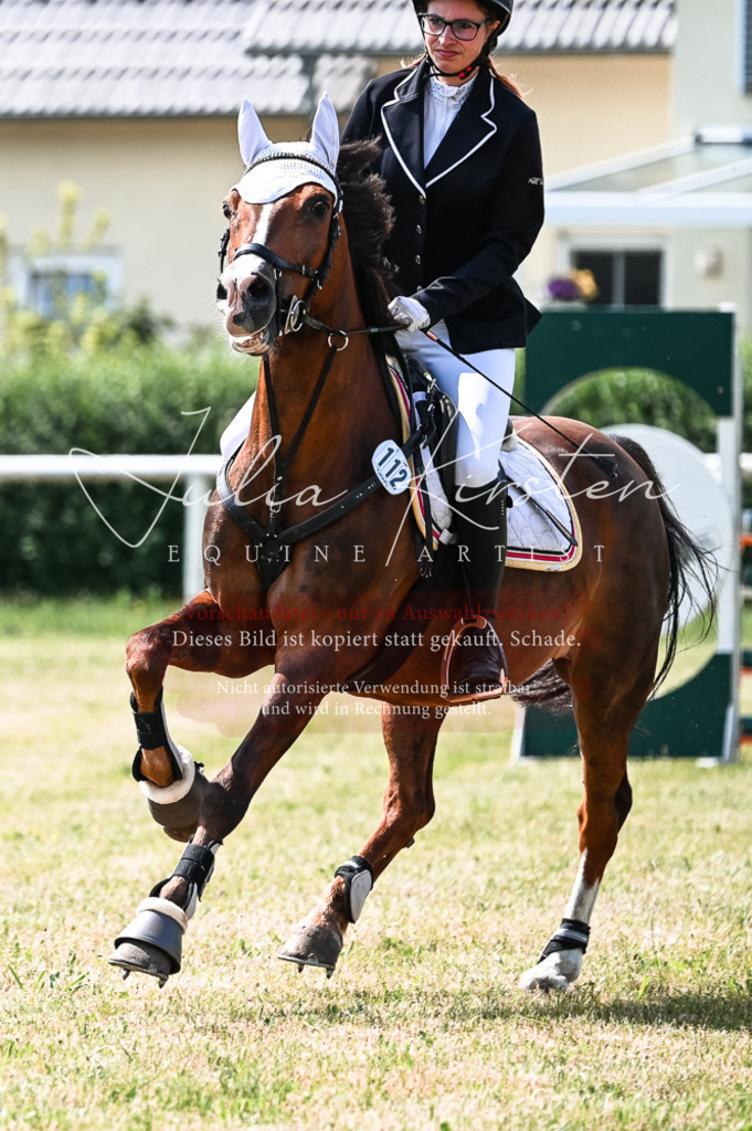 DSC_8654 | Pferde- und Turnierfotografie in Westsachsen. Pferdeportraits, Auftragszeichnungen und intuitive Kunst.