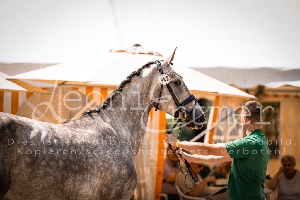 1.Fr00076 | Leoni Ertmer Photography - Realisiert mit Pictrs.com