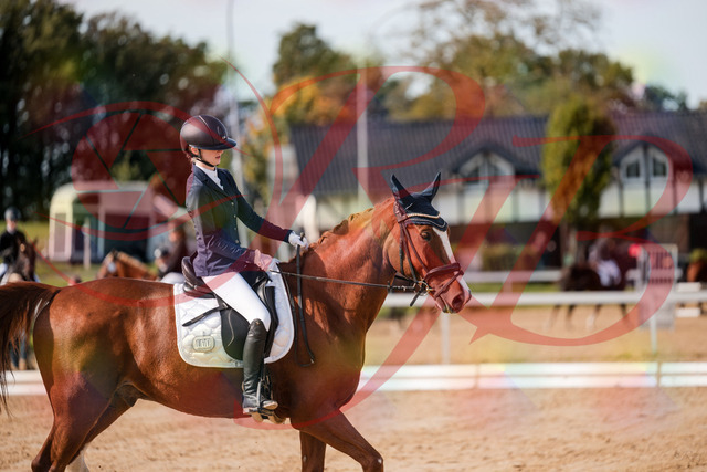 2026_10_03_Siefer-Hof_123708_Z63_54957695 | Professionelle Reitsport-, Turnier- und Eventfotografie von Robert Broda. Galerien mit ausgewählten und bearbeiteten Bildern direkt online ansehen und bestellen.