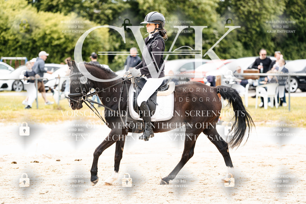 CK904331 | Turnierfotografie Pferdefotografie Trier Rheinland-Pfalz Pferdesport Reitsport Tierfotografie Sportfotografie Pferdevideo Pferdevideografie Equestrianvideography equestrianphotography  - Realisiert mit Pictrs.com