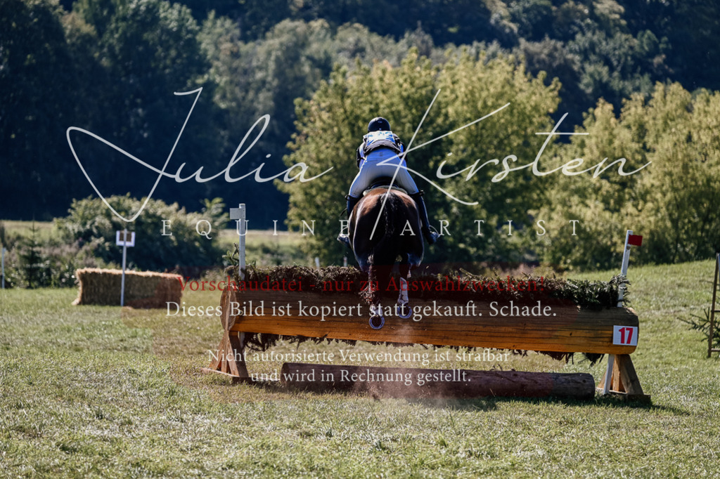 DSC_1482 | Pferde- und Turnierfotografie in Westsachsen. Pferdeportraits, Auftragszeichnungen und intuitive Kunst.