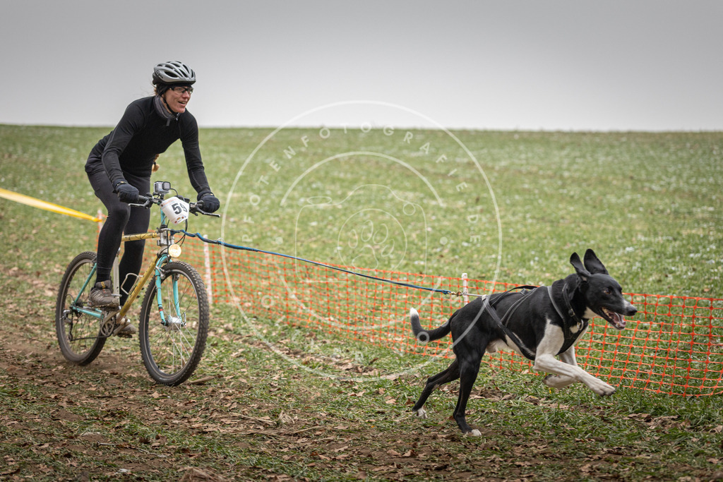 Pfotenfotografie_DV3A2619 | Hundefotografie, Tierfotograf, Pfotenfotografie, Fotoshooting Hund, Hunde Portrait, Hundesport, Hundeportraits, Heideshooting, Hunde, Sportfotograf, Hundefotograf, Turnierhundsport, THS,  - Realisiert mit Pictrs.com