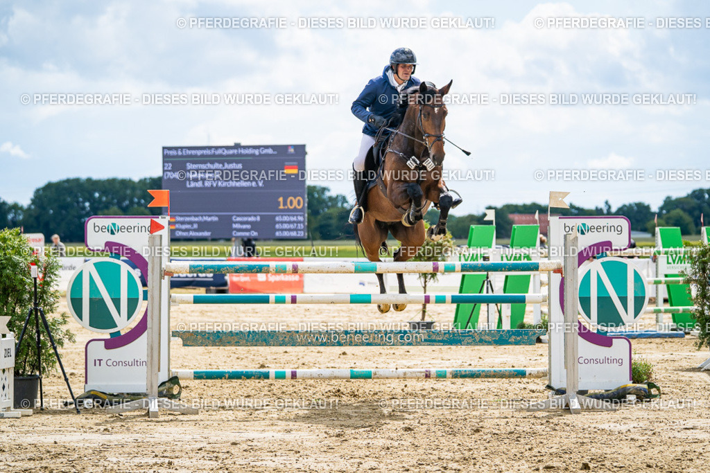 DSC05851 | Pferdegrafie