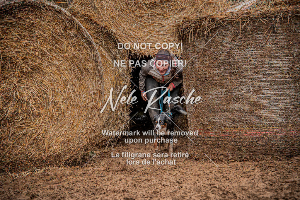 nelerasche_Hunsrück_So12-13_34 | nelerasche