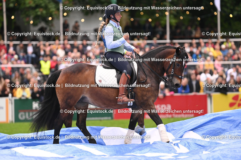 20240517_Lange-Pferdenacht_0264 | Foto: Thomas Hartig