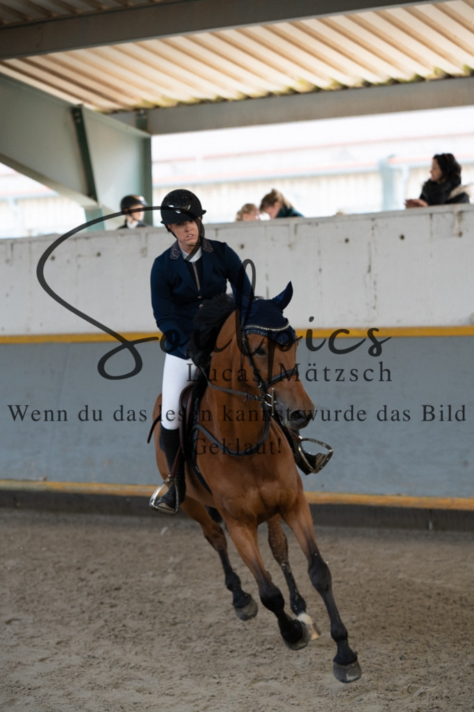 A7V06991 | Pferdefotograf