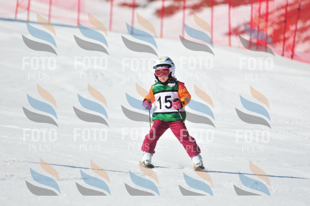 C2461 | holidayphoto