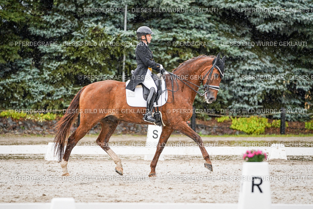 DSC09042 | Pferdegrafie