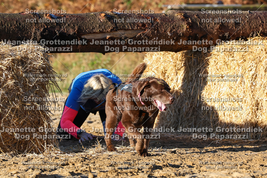 Dog Paparazzi - Strongdog 10-25-1114 | Dog Paparazzi Jeanette Grottendiek Fotografie & Videografie - Realisiert mit Pictrs.com