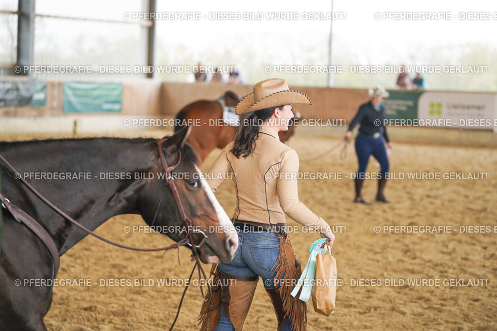 DSC06527 | Pferdegrafie