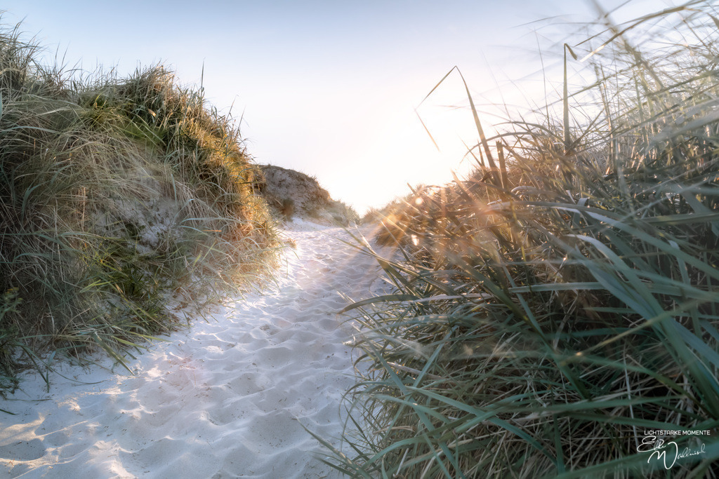20240501-193725 NORDSEE SPO _184-1 | Herzlich willkommen auf meiner Seite! Ich bin Elke Wallnisch, Deine Fotografin für lichtstarke Momente. Der Name steht für alles, was mich mit der Fotografie verbindet: Das Licht und seine machtvolle Wirkung auf eine Situation oder unsere Stimmung - Realisiert mit Pictrs.com