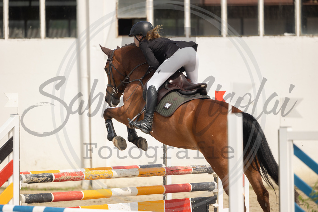 994A9475 | sabrinanicolaifotografie - Realisiert mit Pictrs.com