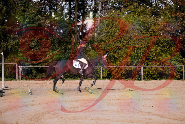 2026_10_03_Siefer-Hof_145847_Z81_40416118 | Professionelle Reitsport-, Turnier- und Eventfotografie von Robert Broda. Galerien mit ausgewählten und bearbeiteten Bildern direkt online ansehen und bestellen.