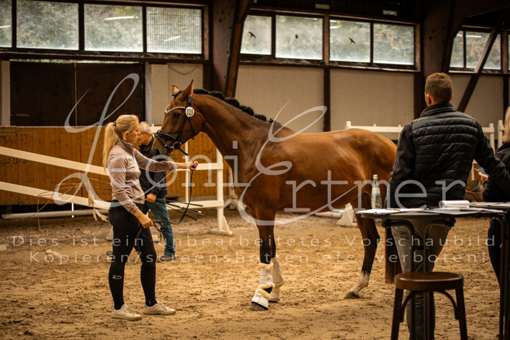 2FS_L00153 | Leoni Ertmer Photography - Realisiert mit Pictrs.com