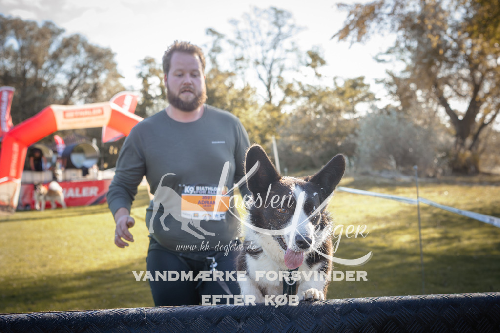 1212_ZZ94973 | kk-dogfotos