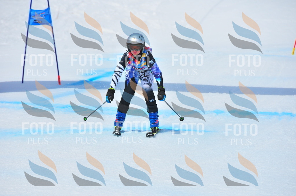 DSC_7128 | holidayphoto