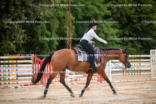 ZS2_8396 | dv-media-shop - Realisiert mit Pictrs.com