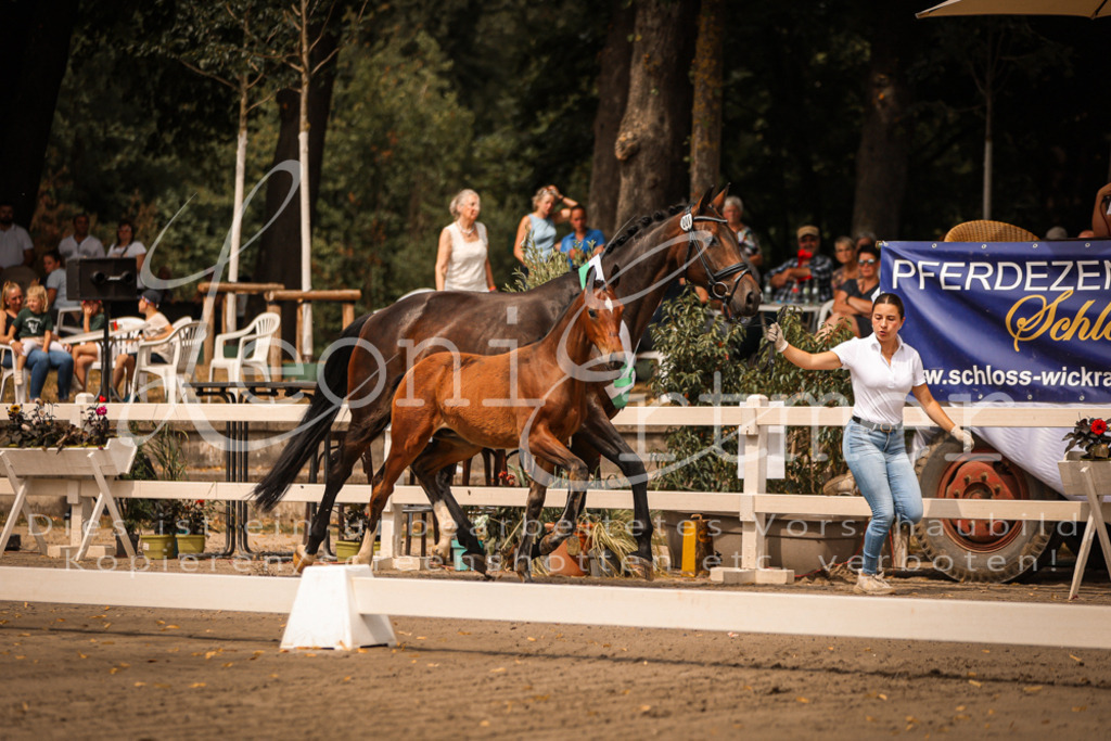 SaPA00001 | Leoni Ertmer Photography - Realisiert mit Pictrs.com