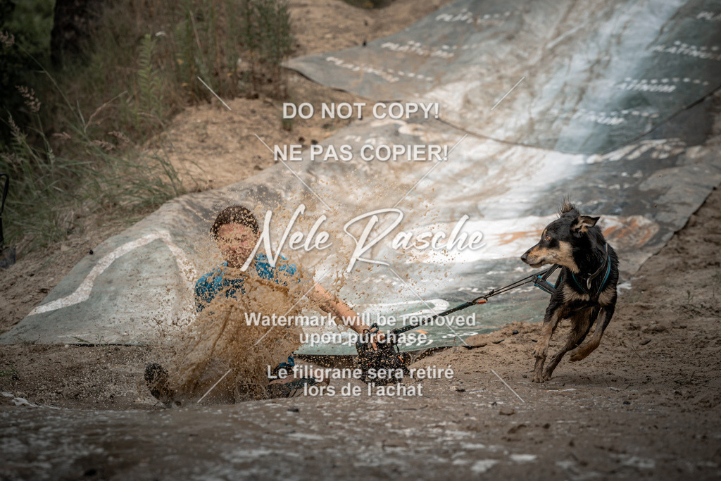 nelerasche_sa1530-1600_199 | nelerasche