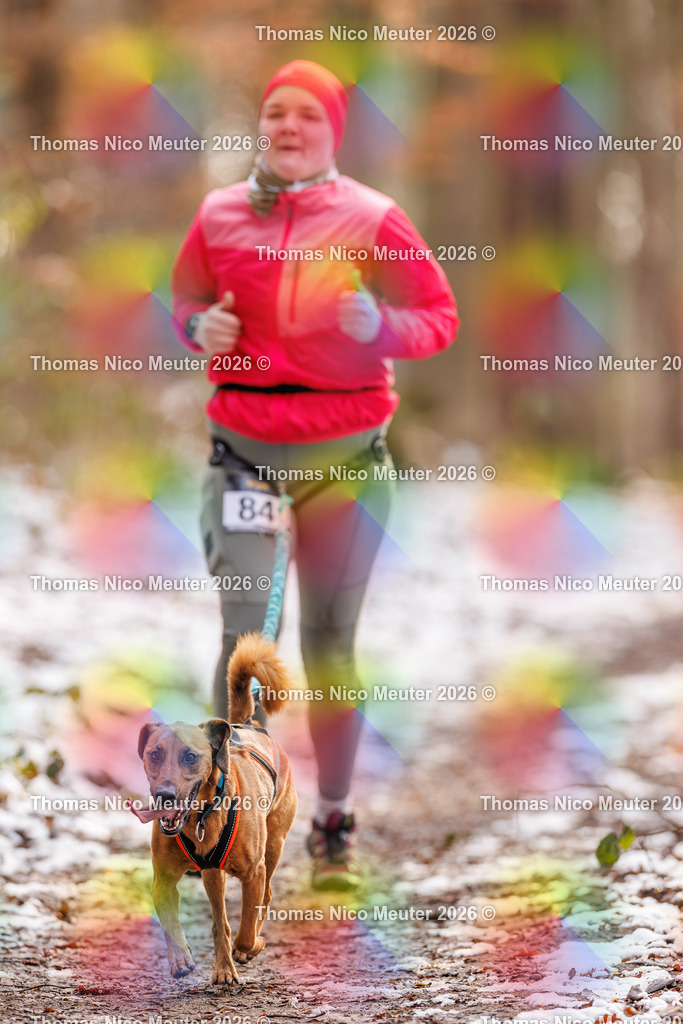 Thomas_Nico_Meuter(C)_223A9159 | Bild von Thomas Nico Meuter - Realisiert mit Pictrs.com