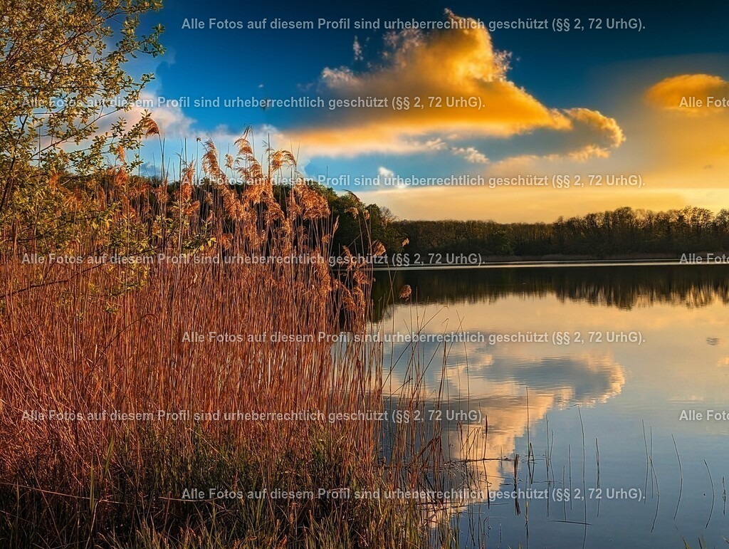 PXL_20240422_172456598-01_2 | krollfotografie - Realisiert mit Pictrs.com