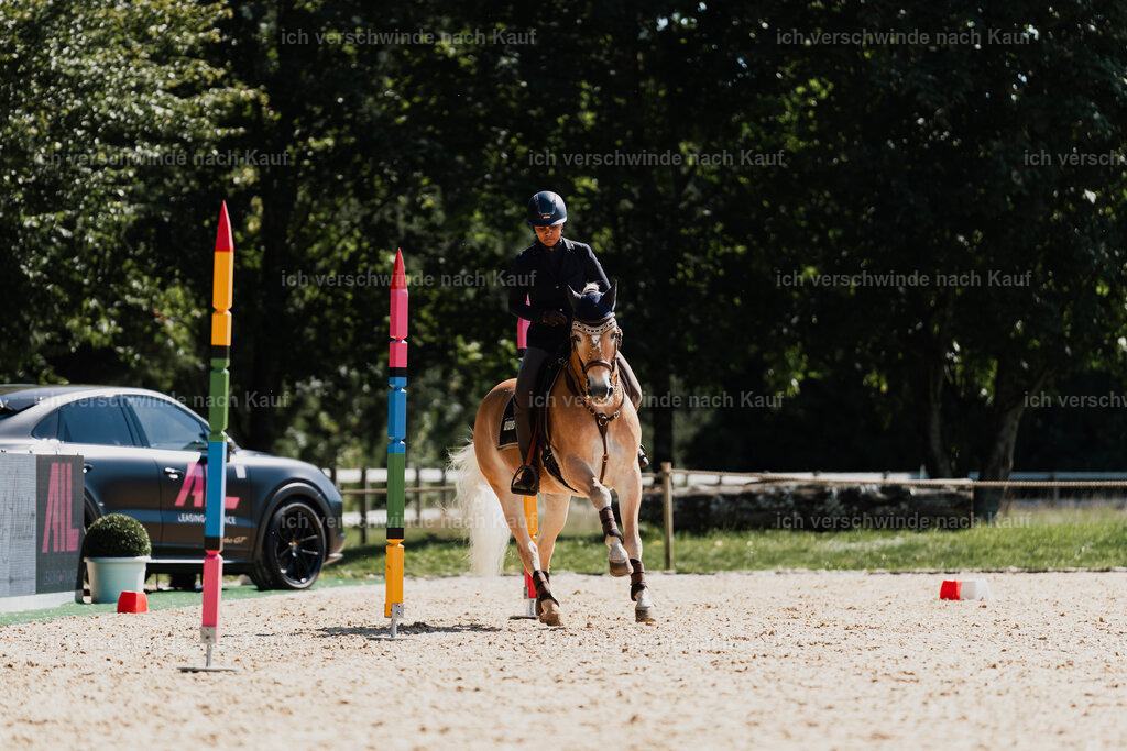 Tanesha5FHC2025-08786 | working equitationturnier fotograf videograf stoibphotography marixx film working equitation deutschland reitsport turnierfotografie eventfotografie equestrian events