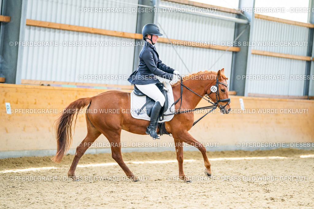 DSC05039 | Pferdegrafie