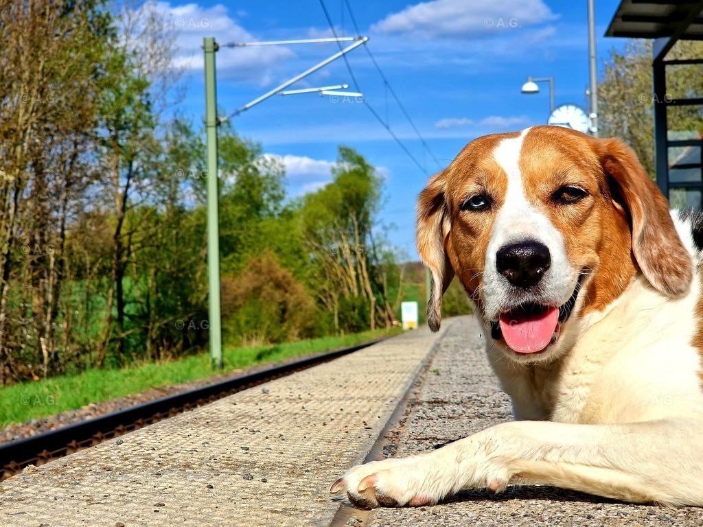 20220419_194836 | aileen-glaeser - Realisiert mit Pictrs.com