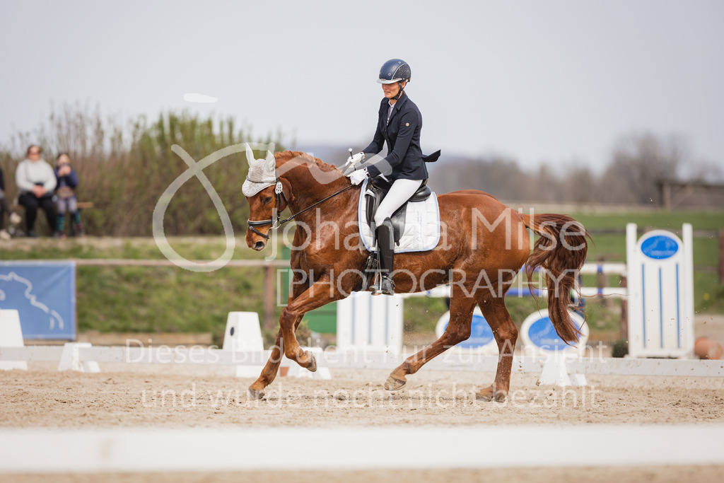 230410_Frühlingsfest_A-Dressur-456 | Deine schönsten Turniermomente als professionelle Fotos! Entdecke hochwertige Pferdesport-Fotografie im Online-Shop. Jetzt Fotos finden & bestellen!