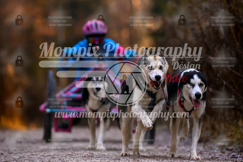 MompixPhotography_DM_AKDM_SO_2025_Wagen-59 | PayLife