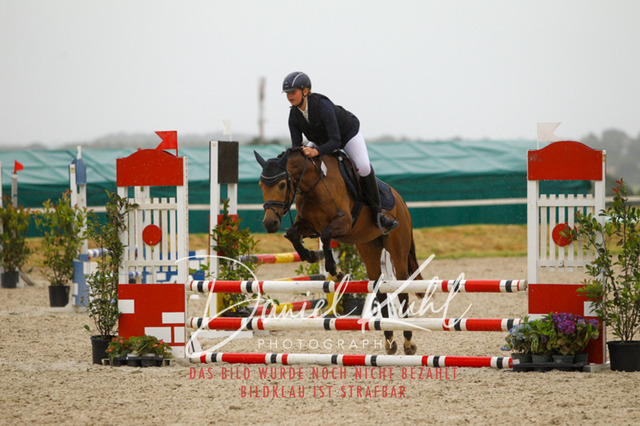 DKP47314 | Turniersportfotografie; Pferdefotografie; Dressurfotografie