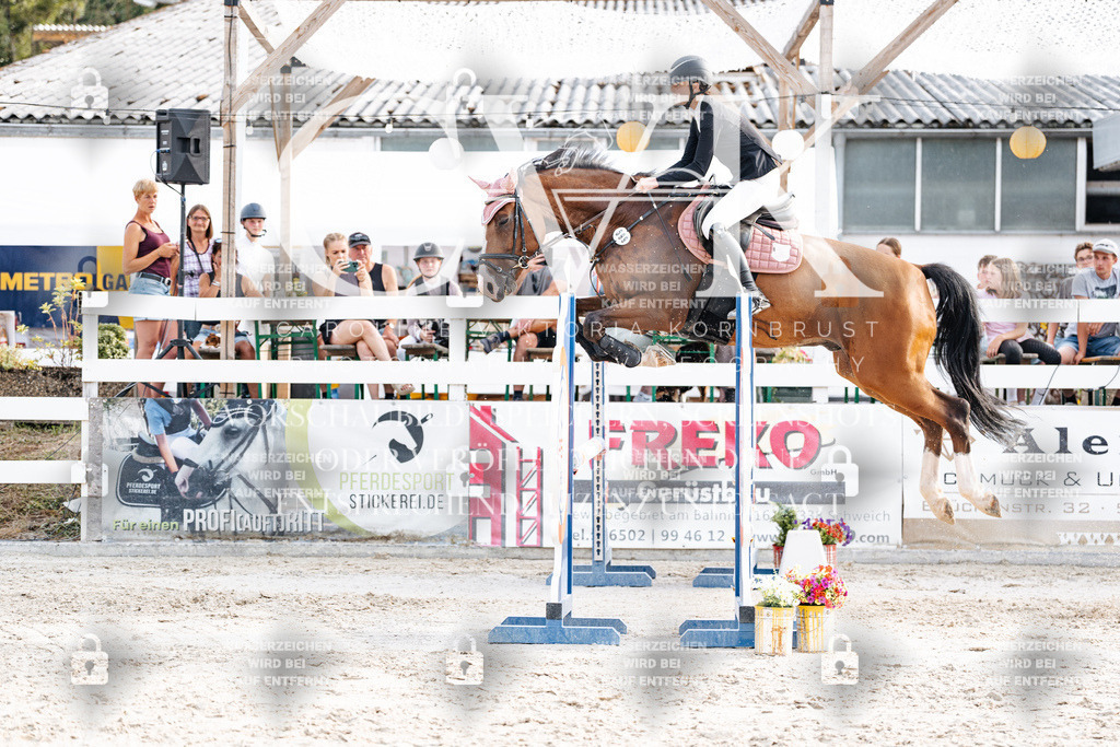 CK906803 | Turnierfotografie Pferdefotografie Trier Rheinland-Pfalz Pferdesport Reitsport Tierfotografie Sportfotografie Pferdevideo Pferdevideografie Equestrianvideography equestrianphotography  - Realisiert mit Pictrs.com