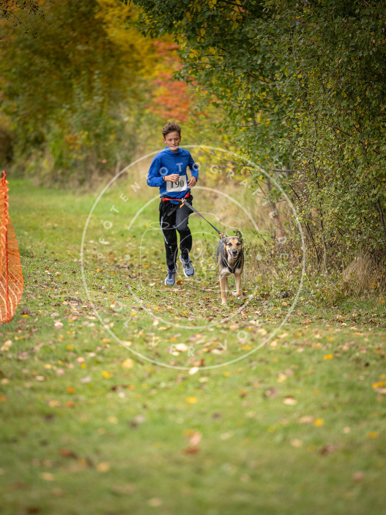 Pfotenfotografie_DV3A3578 | Hundefotografie, Tierfotograf, Pfotenfotografie, Fotoshooting Hund, Hunde Portrait, Hundesport, Hundeportraits, Heideshooting, Hunde, Sportfotograf, Hundefotograf, Turnierhundsport, THS,  - Realisiert mit Pictrs.com